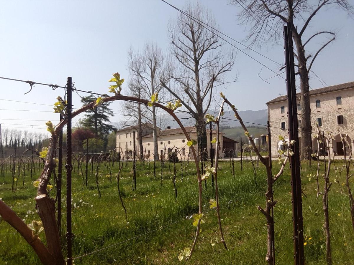 Agriturismo La Bella Follina Εξωτερικό φωτογραφία